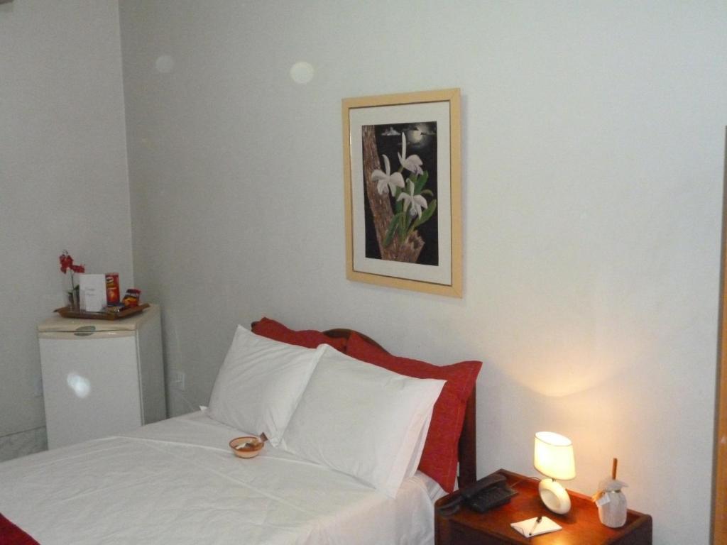 Palace Hotel 5A Manaus Eksteriør billede
