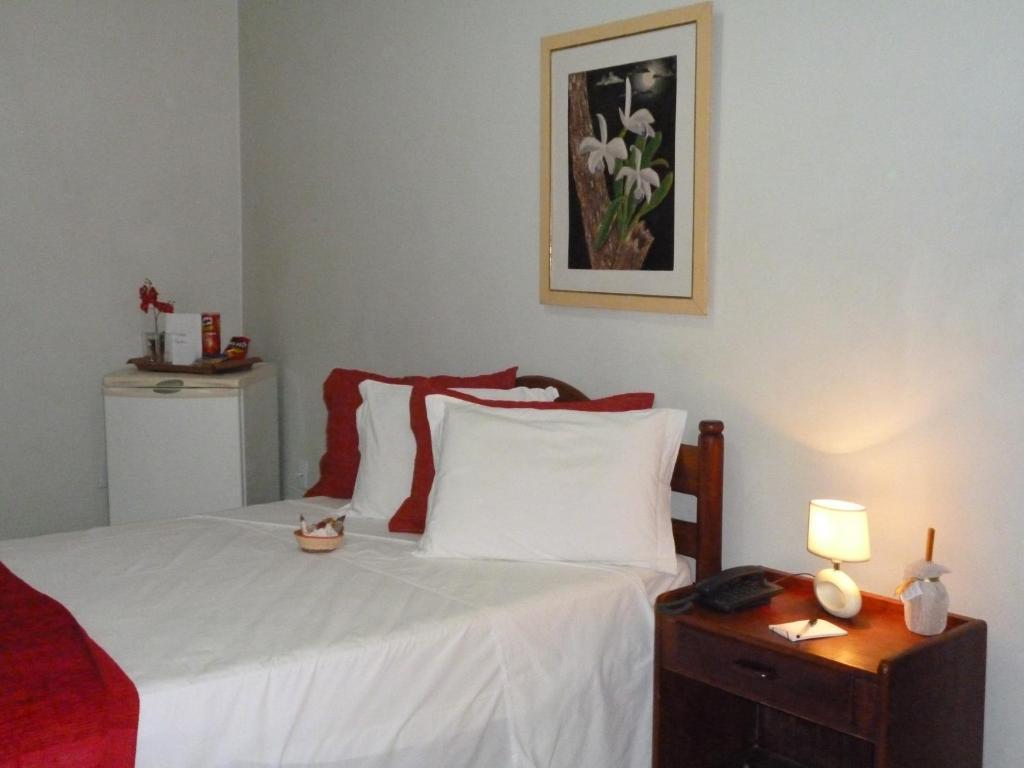 Palace Hotel 5A Manaus Eksteriør billede